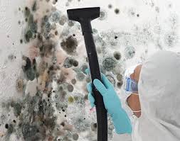 Best Mold Damage Restoration  in Cross Roads, TX